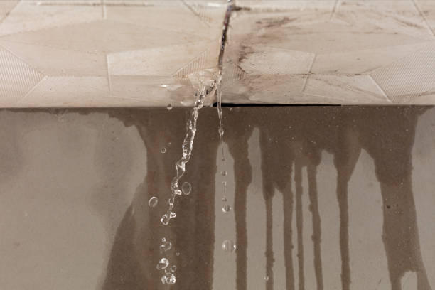 Professional Sewage Cleanup technician working in Big Rock, IL